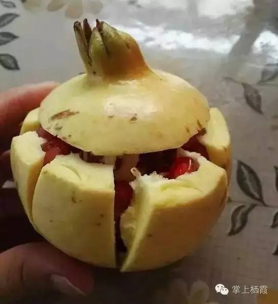 手把手教你剥石榴,教你剥石榴的小技巧