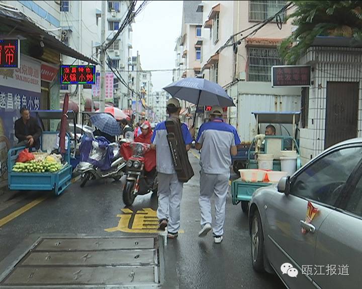 十大最有效的灭蟑方法不用蟑螂药,如何免费的灭蟑螂