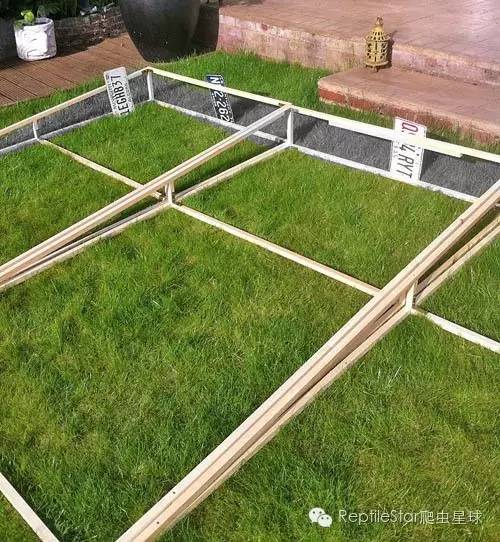 ReptileStar爬虫星球