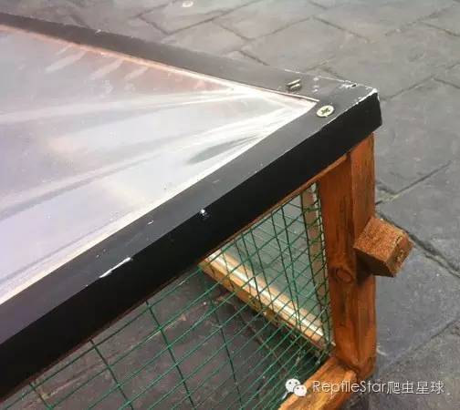 ReptileStar爬虫星球