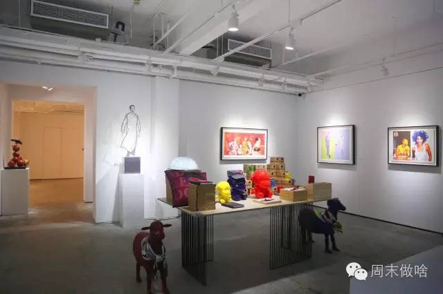 厉害了!魔都这条路上的面包比Farine好吃，梧桐比武康路还美