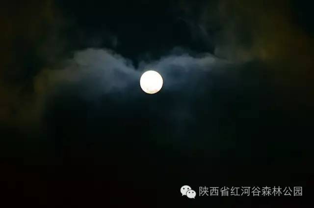 9月去红河怎么玩,国庆节节云南红河适合去哪旅游