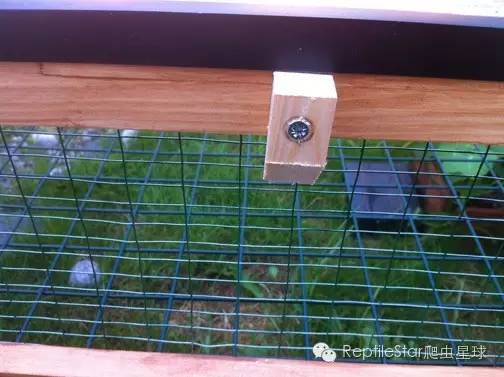 ReptileStar爬虫星球