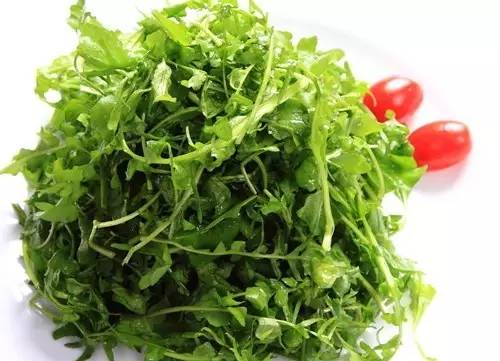 这十二种野菜有毒千万不要吃,这七种野菜有毒不能吃