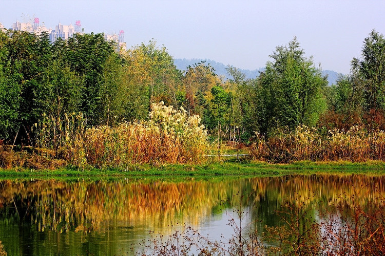 长沙的秋天去哪了,长沙秋天适合去的地方