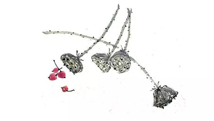 写在竹简上的诗经,诗经中的绝美句子纸质书