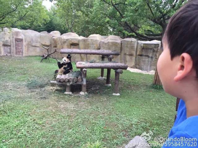 如果美国有《爸爸去哪儿》，强推小贝！坎爷！精灵王子！