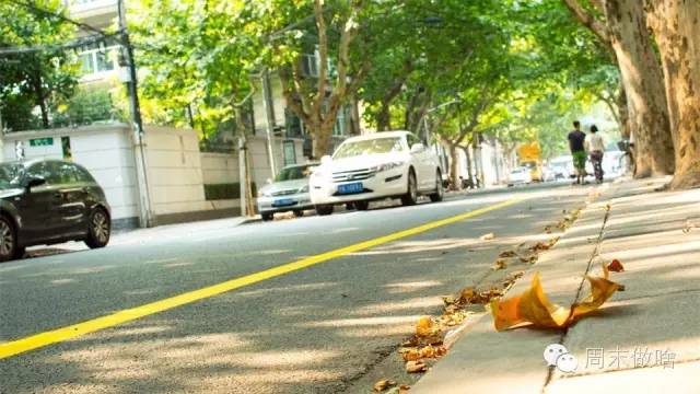 厉害了!魔都这条路上的面包比Farine好吃，梧桐比武康路还美