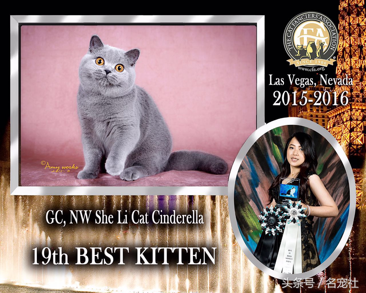 蓝氏猫咪猫粮,蓝氏猫粮猫舍版