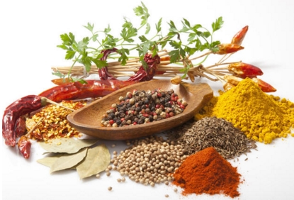 调节女性内分泌,内分泌咋调节