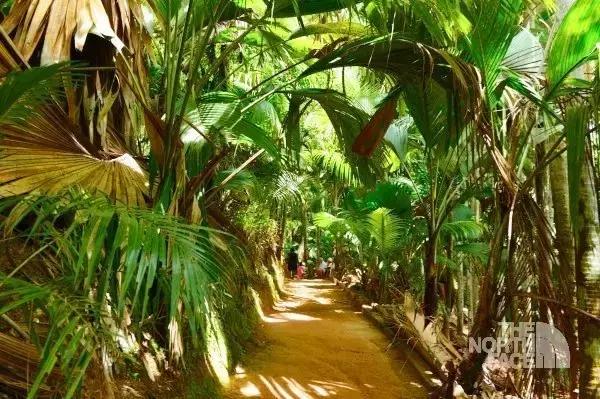 塞舌尔海洋天堂,最后的伊甸园之塞舌尔