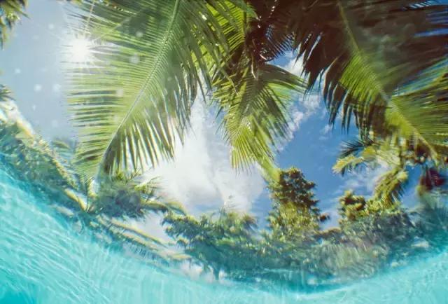 塞舌尔海洋天堂,最后的伊甸园之塞舌尔