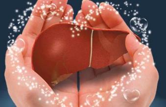 蜂王浆高级滋补品,蜂王浆是人体的第一长寿补品