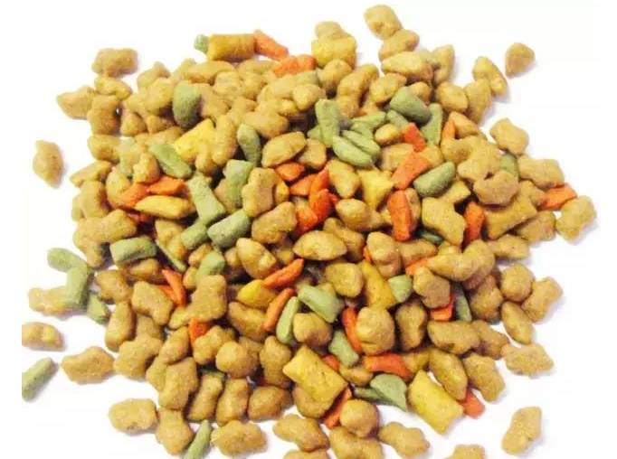 狗狗几岁开始换老年狗粮,换狗粮狗狗不吃如何解决