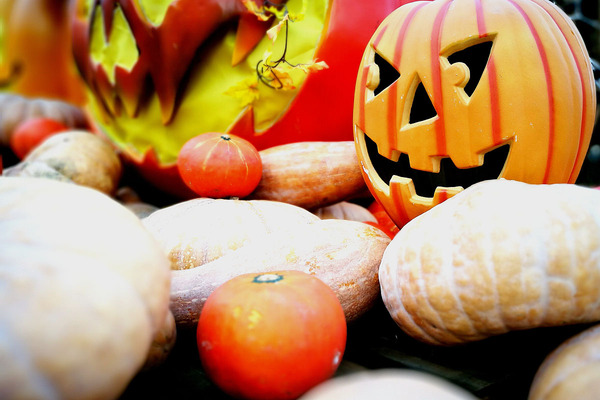 万圣节僵尸旅行,万圣节长隆9个鬼屋全玩时间赶吗