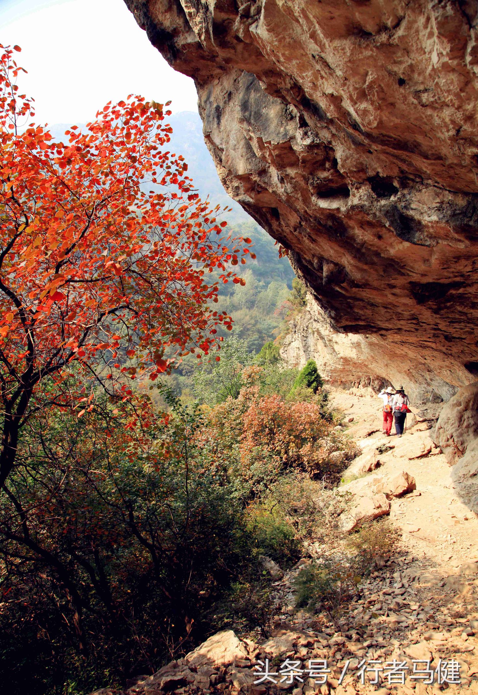 错过了邢台云梦山，太行山最大的红叶区，就相当于错过了整个秋天