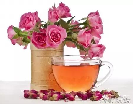 绞股蓝和什么茶一起泡水调理三高,三高调理茶的作用与功效是什么