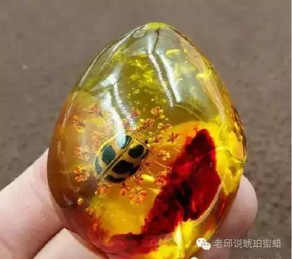 鎭掑疄鑰侀偙,鎭掑疄鐞ョ弨鑰侀偙鐩存挱