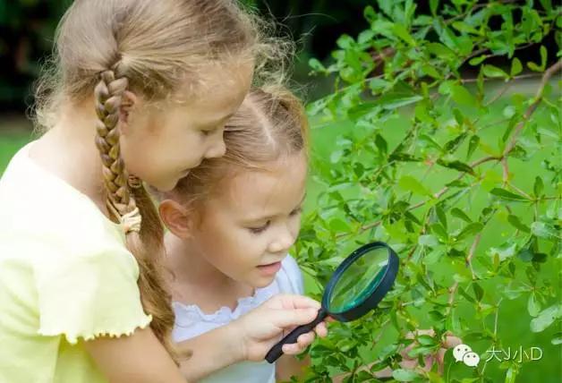 蒙氏教育的什么是蒙氏教育的核心,蒙氏园让孩子自由操作的意义