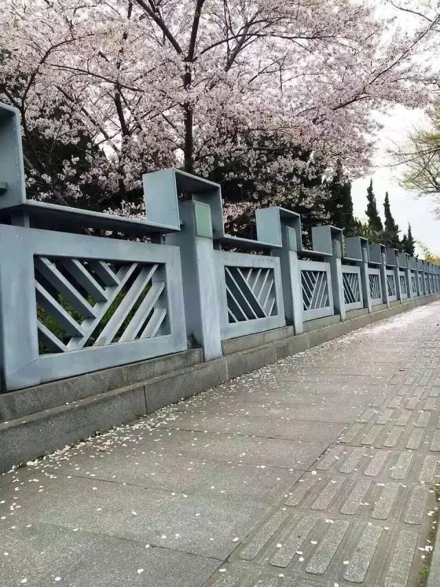 手机拍照技巧和构图方法讲解,手机拍照技巧之一基础构图技巧