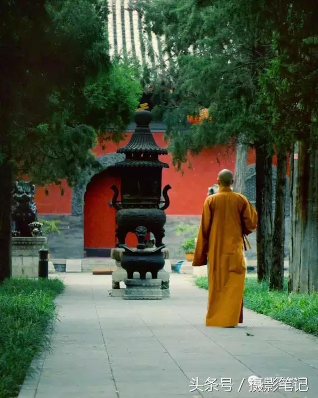 10月摄影笔记照片点评合集