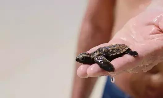 塞舌尔海洋天堂,最后的伊甸园之塞舌尔