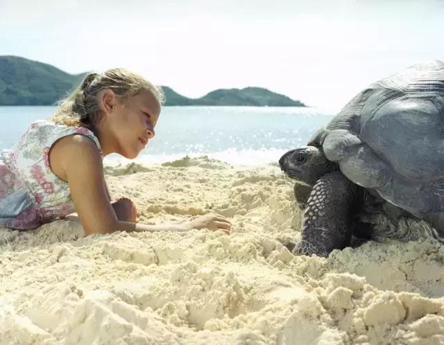 塞舌尔海洋天堂,最后的伊甸园之塞舌尔