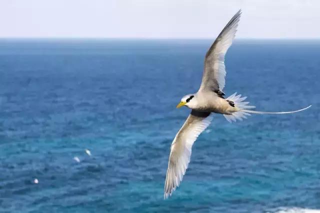 塞舌尔海洋天堂,最后的伊甸园之塞舌尔