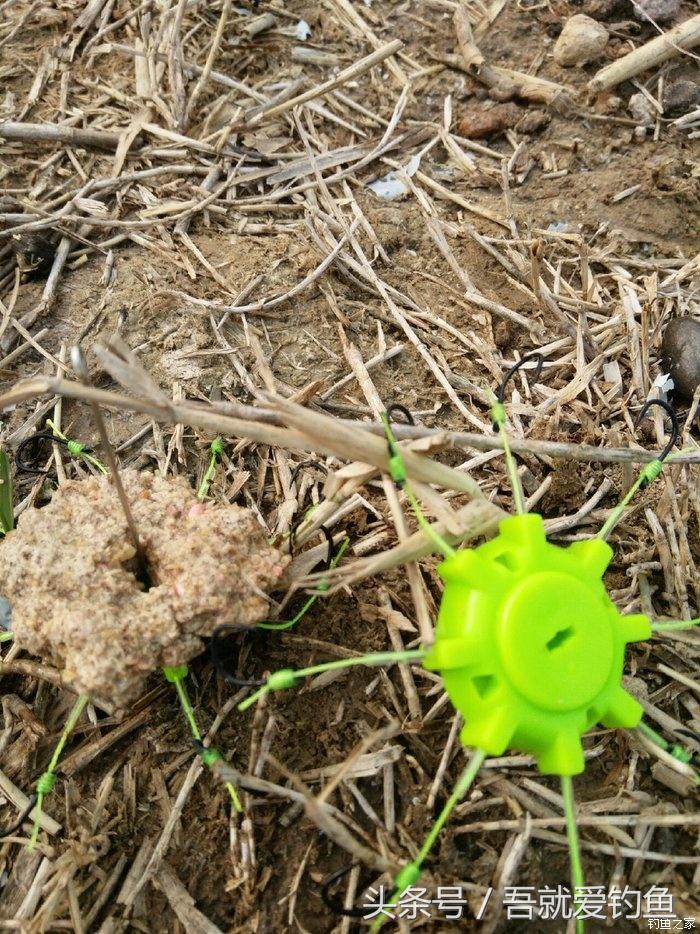 假休十月翻板初试失利恶犬护塘渔获数爆炸饵