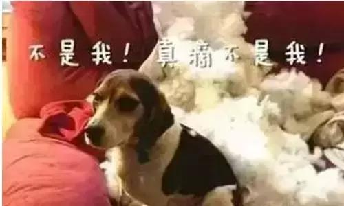 重庆人小时候就是这样扯靶子的，豁得妈老汉脑壳痛！