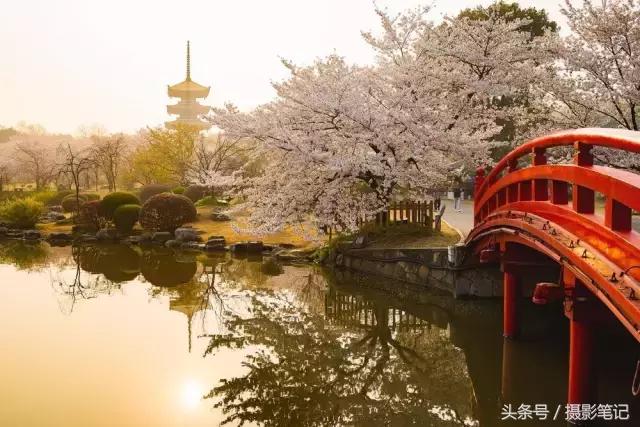 10月摄影笔记照片点评合集