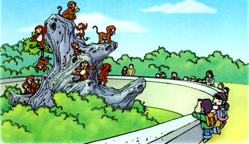 家长如何引导孩子写看图写话,一年级看图写话训练与家长交流