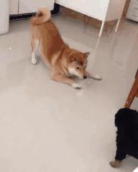 三连托马斯回旋,托马斯大回旋360度