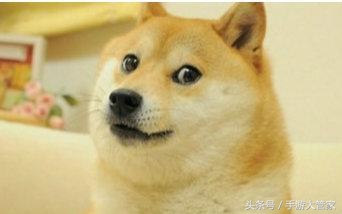 王者光荣到达光荣段位不打会掉星,王者光荣排位胜利不加星反掉