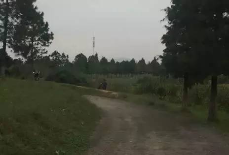 仙林湖还有发展空间吗,仙林湖扩建