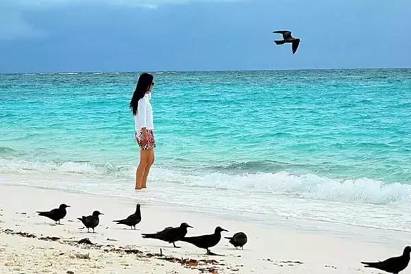 塞舌尔海洋天堂,最后的伊甸园之塞舌尔