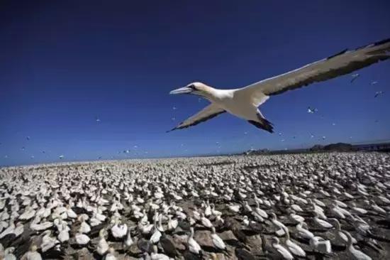塞舌尔海洋天堂,最后的伊甸园之塞舌尔