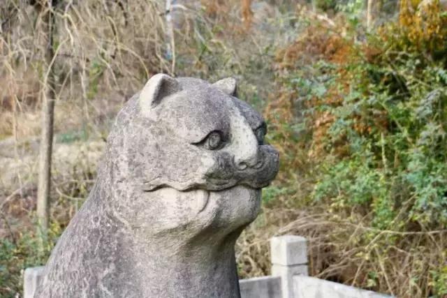 宁波最好的国宝文物,宁波国宝文物有哪些