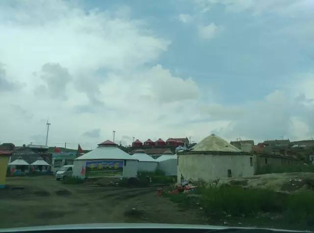 自驾川西带金毛,长途自驾带金毛