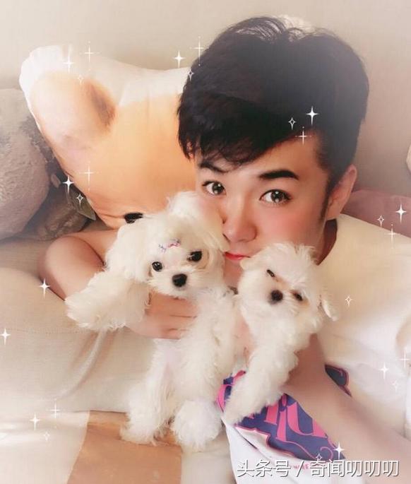 陈赫官宣生二胎了吗,陈赫官宣二胎成功了吗