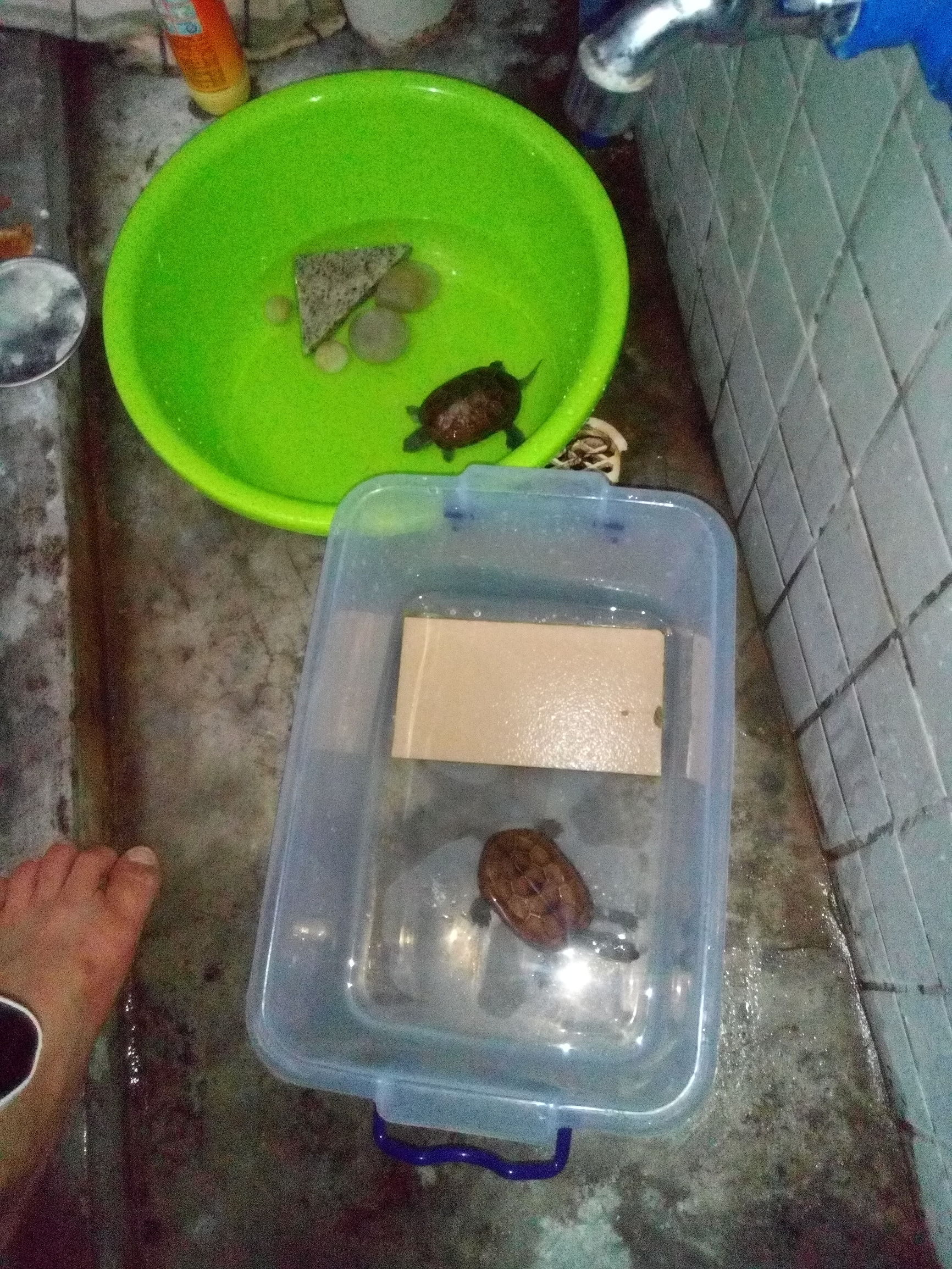 Android小白的培训成长之路