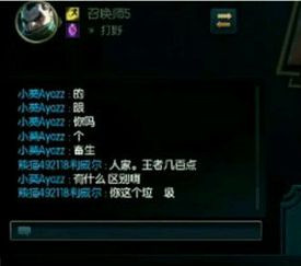 小狗女枪辅助遭疯狂辱骂直言国服质量太差