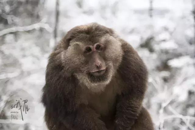 手机拍照技巧和构图方法讲解,手机拍照技巧之一基础构图技巧