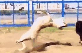 三连托马斯回旋,托马斯大回旋360度