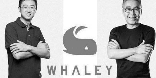 读懂用户的微鲸，靠年轻玩转新型营销