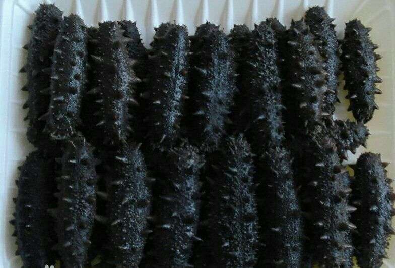 海参食用方法视频教程,海参的最佳食用方法