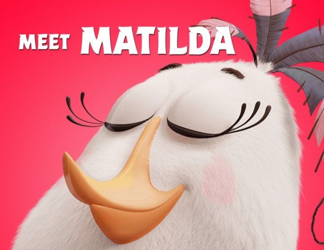 《愤怒的小鸟》新预告“胖红”屡发飙反击绿猪