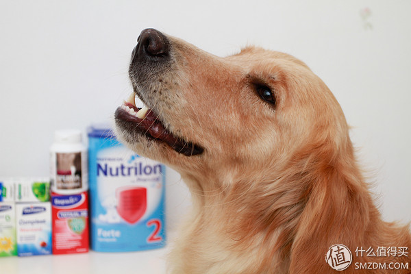 备孕婚前体验,备孕亲身经历和感受