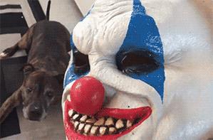 老湿机爱搞笑gif图：现实版少林足球