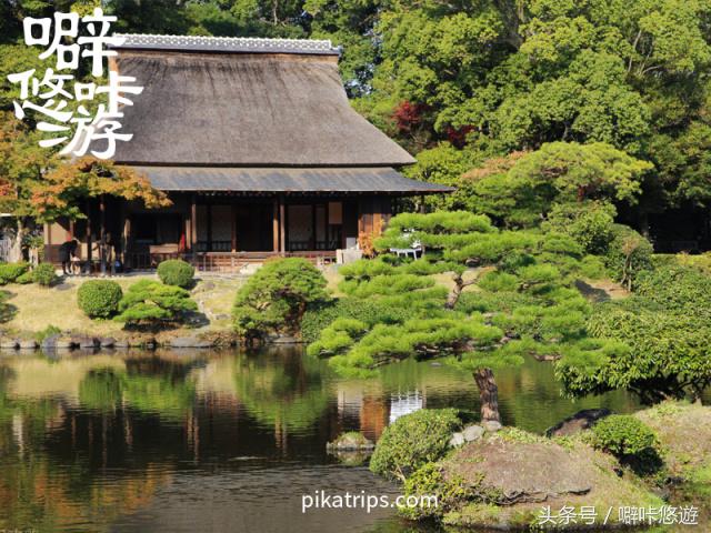 熊本熊游玩,日本熊本熊旅游